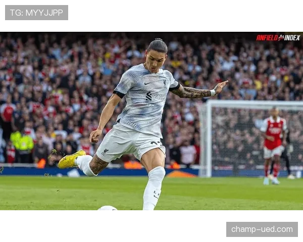 伪九号与冲击型中锋的战术抉择：菲尔米诺与努涅斯的角色差异如何影响球队进攻体系