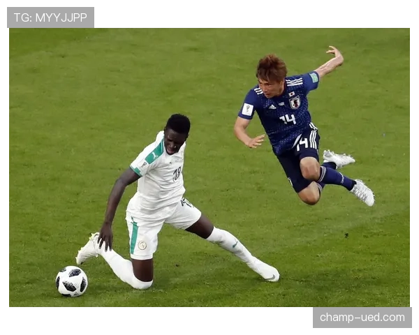 日本世界杯32强赛程回顾：休斯敦比赛信息整理